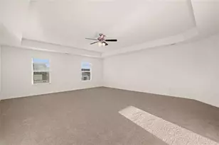 294 Friendship Oak Wy, Hampton, GA 30228 - Photo 9