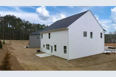 294 Friendship Oak Way, Hampton, GA 30228 - Photo 41