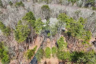 29 Red Trillium Ridge, Big Canoe, GA 30143 - Photo 63