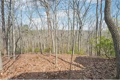 29 Red Trillium Ridge, Big Canoe, GA 30143 - Photo 59