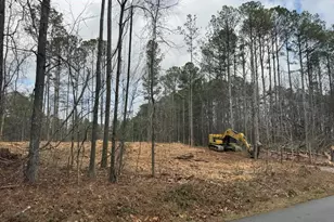 0 Pope Rd, Buchanan, GA 30113 - Photo 11