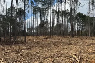 0 Pope Rd, Buchanan, GA 30113 - Photo 9