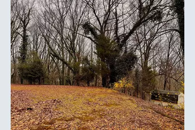 2598 White Sulphur Road, Gainesville, GA 30501 - Photo 3