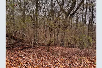 2598 White Sulphur Road, Gainesville, GA 30501 - Photo 5