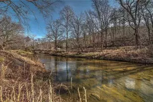 141 Mountain Rivers Rd, Mineral Bluff, GA 30559 - Photo 5