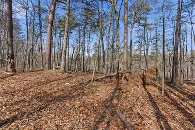 2234 Little Refuge Road, Waleska, GA 30183 - Photo 19