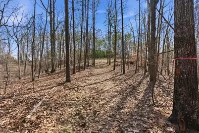 2234 Little Refuge Road, Waleska, GA 30183 - Photo 23