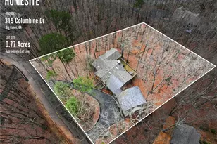 319 Columbine Dr, Big Canoe, GA 30143 - Photo 43