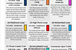 1996 Bryant Park Ln, Decatur, GA 30033 - Photo 49