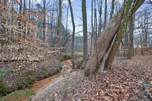 1020 Lower Union Hill Rd, Canton, GA 30115 - Photo 59