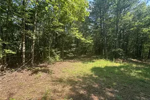 40 Patriot View Dr, Dahlonega, GA 30533 - Photo 1