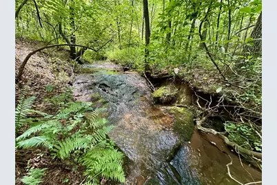 40 Patriot View Drive, Dahlonega, GA 30533 - Photo 5