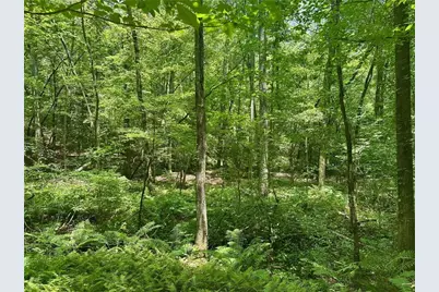 40 Patriot View Drive, Dahlonega, GA 30533 - Photo 19