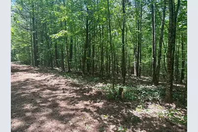 40 Patriot View Drive, Dahlonega, GA 30533 - Photo 17