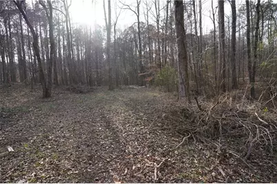 102 Pinetree Lane, Auburn, GA 30011 - Photo 5