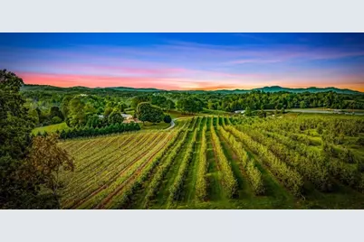 1241 Scenic Drive, Blue Ridge, GA 30513 - Photo 83