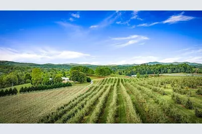 1241 Scenic Drive, Blue Ridge, GA 30513 - Photo 79