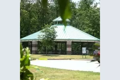 3342 Wild Clary (Lot 66) Court, Buford, GA 30519 - Photo 31