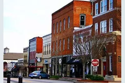 3342 Wild Clary (Lot 66) Court, Buford, GA 30519 - Photo 33