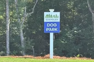 3342 Wild Clary Ct Lot 66, Buford, GA 30519 - Photo 33