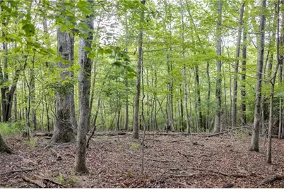 1063 Grindle Bridge Road, Dahlonega, GA 30533 - Photo 23