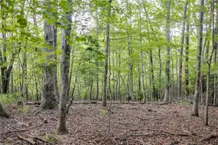 1063 Grindle Bridge Rd, Dahlonega, GA 30533 - Photo 23