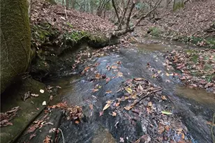 1063 Grindle Bridge Rd, Dahlonega, GA 30533 - Photo 37