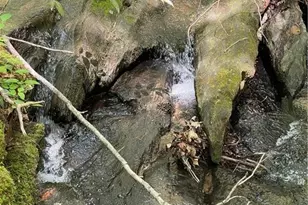 1063 Grindle Bridge Rd, Dahlonega, GA 30533 - Photo 25