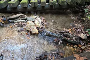 1063 Grindle Bridge Rd, Dahlonega, GA 30533 - Photo 31