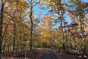 1063 Grindle Bridge Rd, Dahlonega, GA 30533 - Photo 35