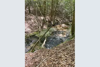 1063 Grindle Bridge Road, Dahlonega, GA 30533 - Photo 27