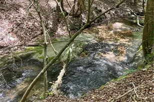 1063 Grindle Bridge Rd, Dahlonega, GA 30533 - Photo 27