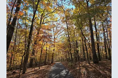 1063 Grindle Bridge Road, Dahlonega, GA 30533 - Photo 29