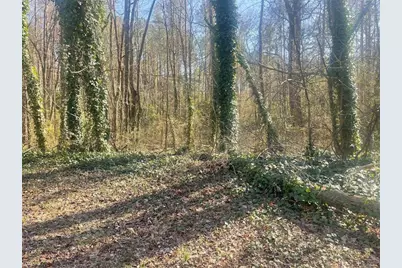 2115 Logan Drive, Jonesboro, GA 30236 - Photo 9