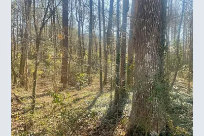 2115 Logan Drive, Jonesboro, GA 30236 - Photo 7