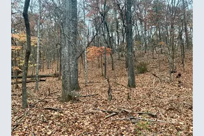 431 Tamarack Drive, Jasper, GA 30143 - Photo 7