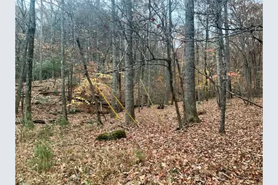 431 Tamarack Drive, Jasper, GA 30143 - Photo 5