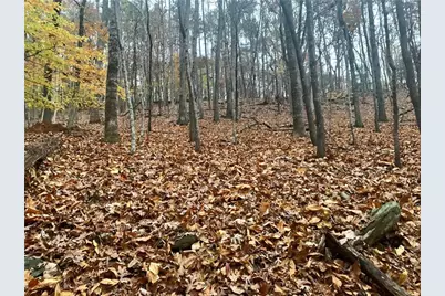 431 Tamarack Drive, Jasper, GA 30143 - Photo 11