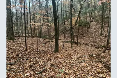 431 Tamarack Drive, Jasper, GA 30143 - Photo 9