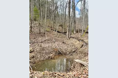 431 Tamarack Drive, Jasper, GA 30143 - Photo 17