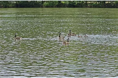 128 River Ridge Lane, Roswell, GA 30075 - Photo 67