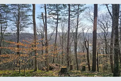 128 River Ridge Lane, Roswell, GA 30075 - Photo 61