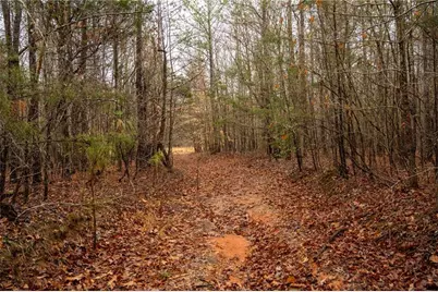 1702 Jones Ferry Road, Elberton, GA 30635 - Photo 21