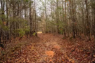 1702 Jones Ferry Rd, Elberton, GA 30635 - Photo 21