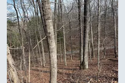 292 Shirley Road SE, Ranger, GA 30734 - Photo 65