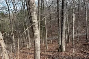 292 Shirley Rd SE, Ranger, GA 30734 - Photo 65