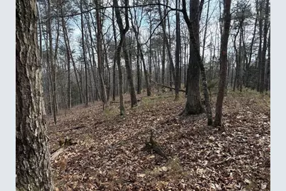 292 Shirley Road SE, Ranger, GA 30734 - Photo 69