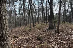 292 Shirley Rd SE, Ranger, GA 30734 - Photo 69