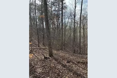 292 Shirley Road SE, Ranger, GA 30734 - Photo 17