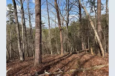 292 Shirley Road SE, Ranger, GA 30734 - Photo 77